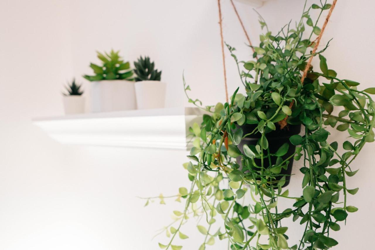 Apartmán Designwunder Hardtmuth Vídeň Exteriér fotografie